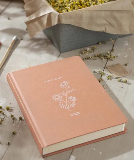 BOTANICAL DIARY DAILY 2023