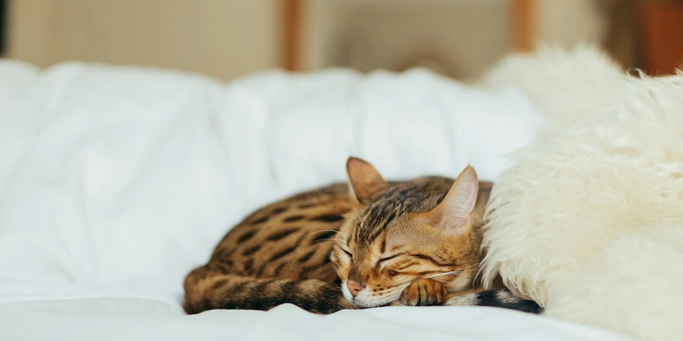 4+ 1 ΤΡΟΠΟΙ ΝΑ ΜΕΙΝΕΙΣ ΕΣΤΙΑΣΜΕΝΟΣ ΣΤΟΥΣ ΣΤΟΧΟΥΣ ΣΟΥ